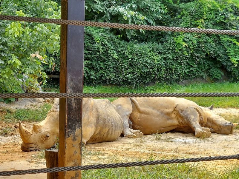 Why This Tennessee Animal Adventure Is Perfect for Families Why This Tennessee Animal Adventure Is Perfect for Families
