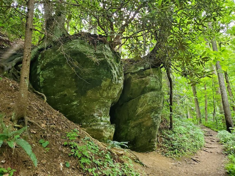 Why This Underrated Gatlinburg Trail Deserves A Spot On Your Smokies Itinerary Why This Underrated Gatlinburg Trail Deserves A Spot On Your Smokies Itinerary