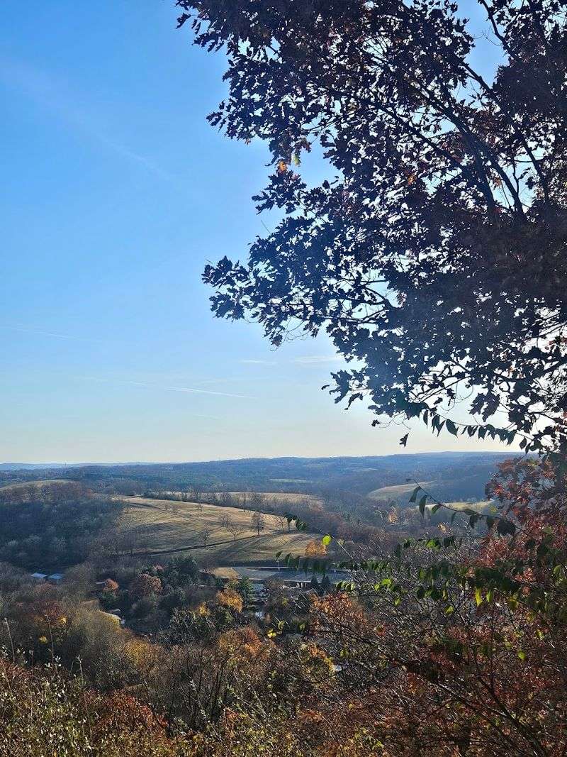 Why Trexler Nature Preserve Feels So Special