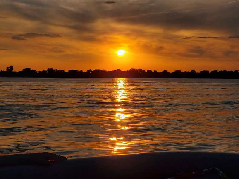 Why Walleye and Wildlife Make This Place Worth Knowing About