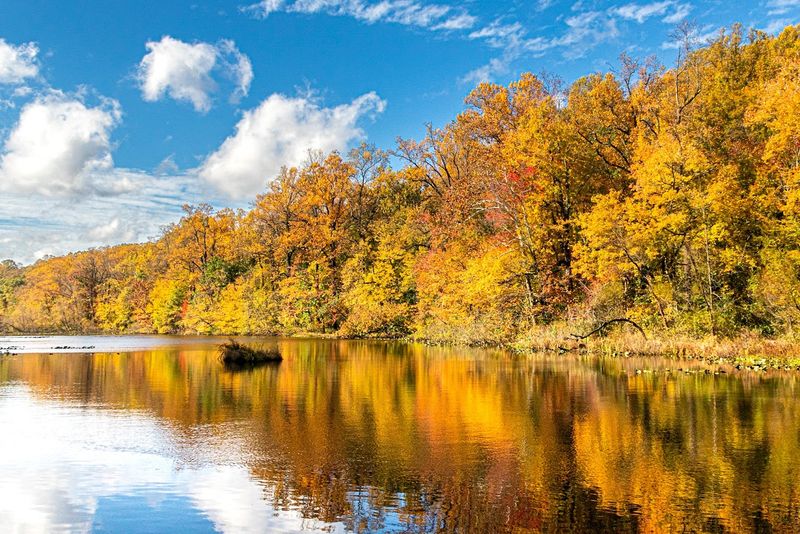 Why Watchung Reservation Is One of New Jersey’s Best Woodland Escapes