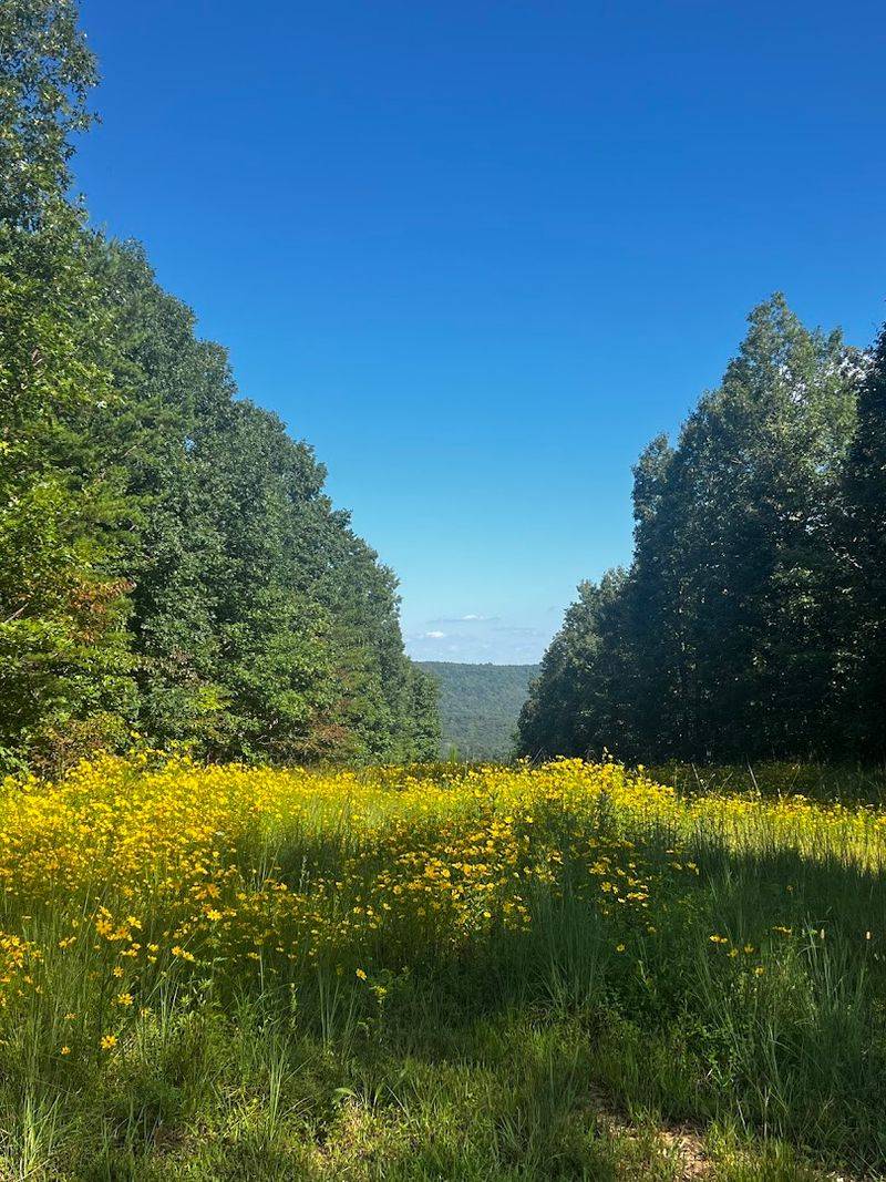 Why Whitwell Is a Great Base for Outdoor Lovers