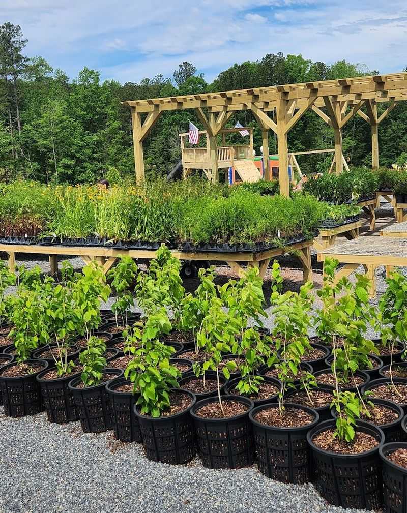 Why Wild Things Nursery matters to the Sandhills Why Wild Things Nursery matters to the Sandhills