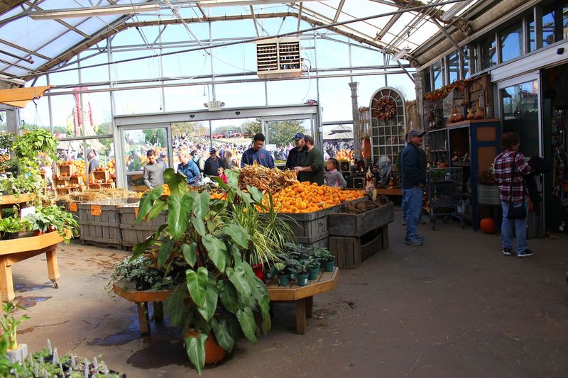 Why fall makes Linvilla feel iconic Why fall makes Linvilla feel iconic
