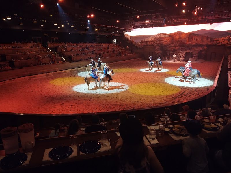 Why the Arena Setting Makes the Experience So Exciting Why the Arena Setting Makes the Experience So Exciting