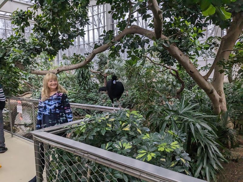 Why the National Aviary feels so special Why the National Aviary feels so special