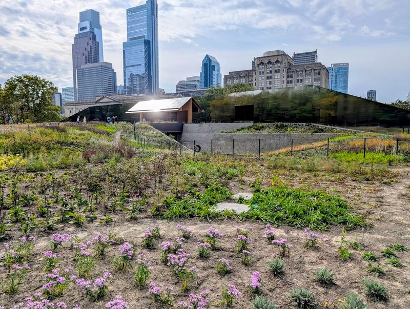 Why the Outdoor Garden Matters Why the Outdoor Garden Matters