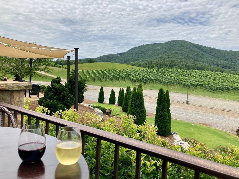 Why the Tastings Feel So Relaxed and Memorable