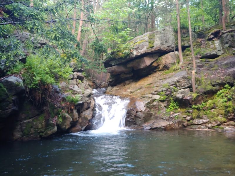 Why the swimming hole feels so special Why the swimming hole feels so special