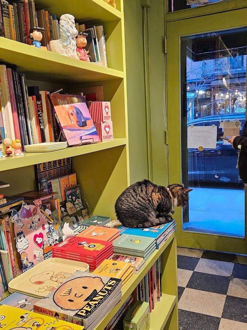 Why the tiny space feels so cozy