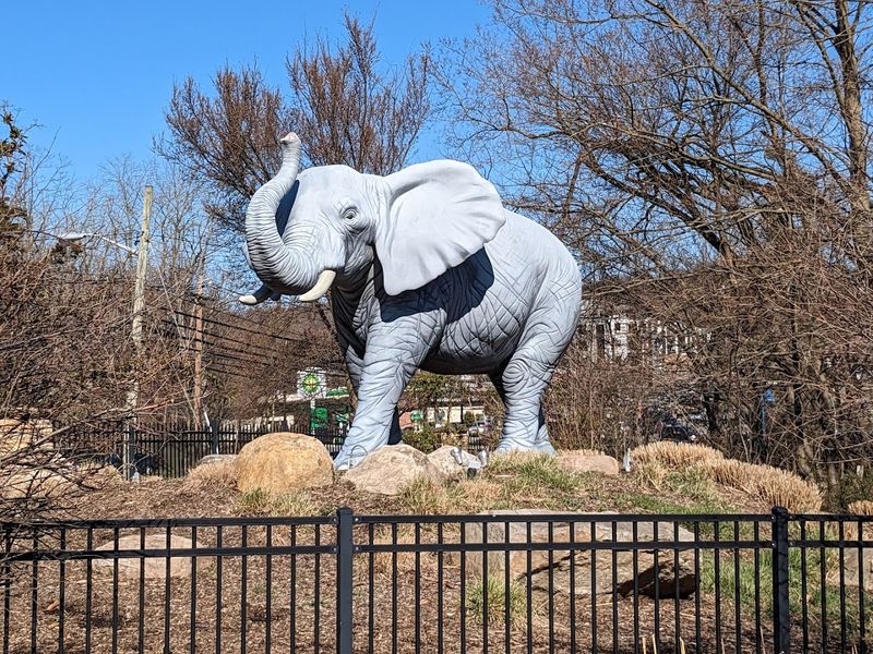 Why these 19 holes are more than just cute animal props