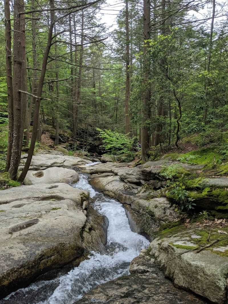Why this Luzerne County gem is worth the trip Why this Luzerne County gem is worth the trip
