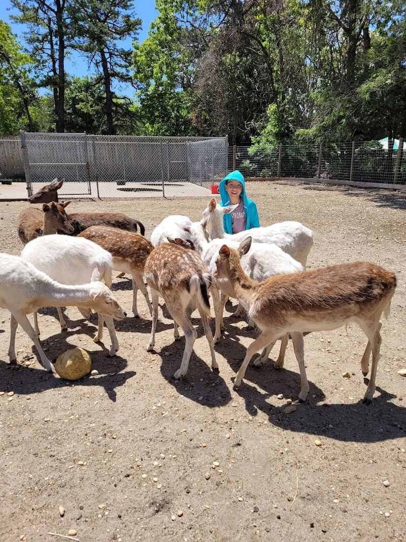 Why this Manorville zoo is worth remembering Why this Manorville zoo is worth remembering