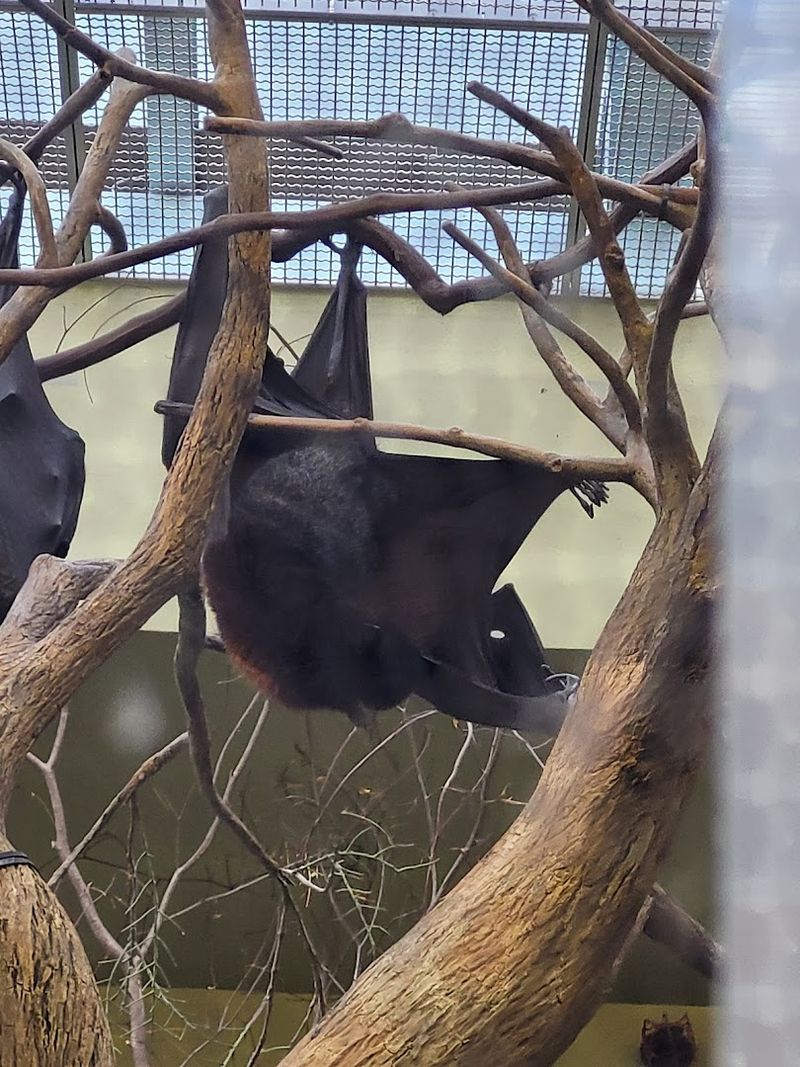 Why this is one of Pittsburgh's most memorable animal experiences Why this is one of Pittsburgh's most memorable animal experiences