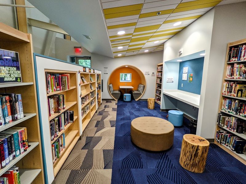 Why this library stands out in East Asheville
