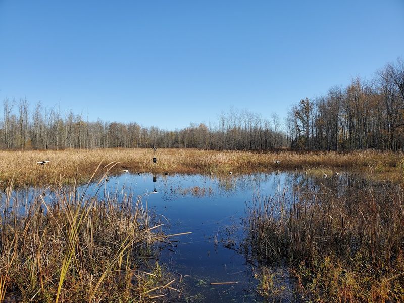 Why this refuge feels like a world away