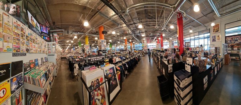 Why vinyl collectors love it