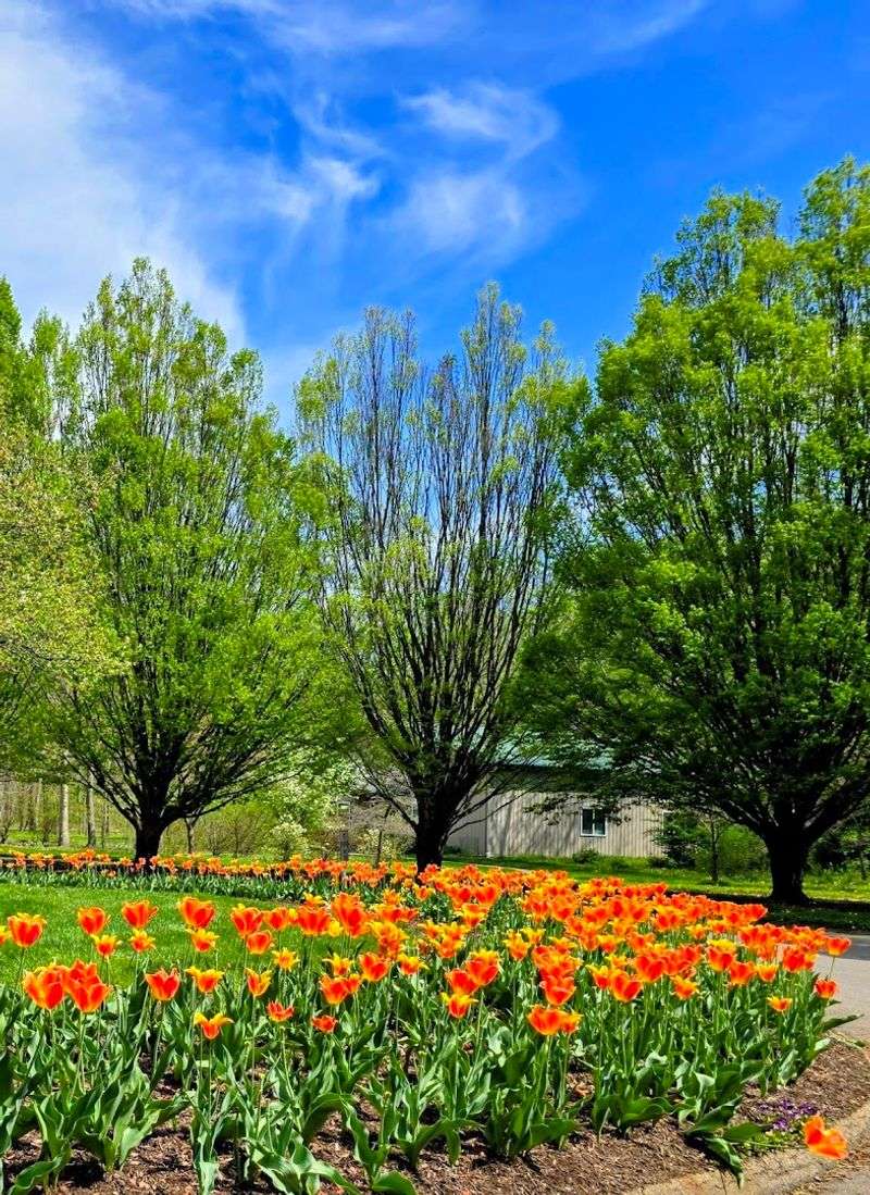 Wildlife And Pollinators Add Life To Every Visit Wildlife And Pollinators Add Life To Every Visit