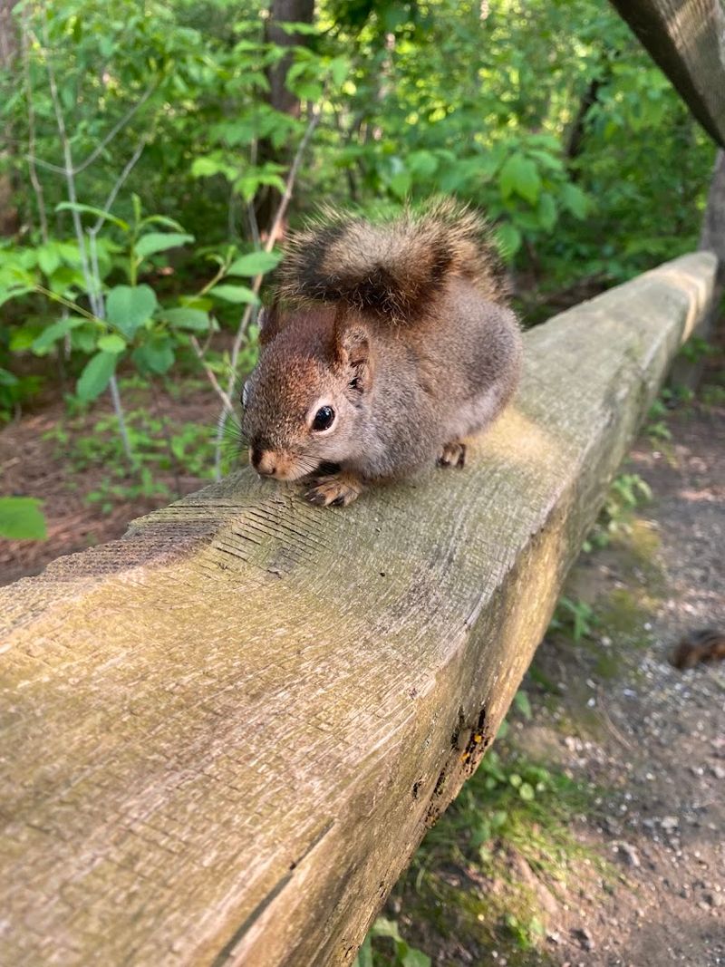 Wildlife Encounters Keep Every Visit Exciting Wildlife Encounters Keep Every Visit Exciting