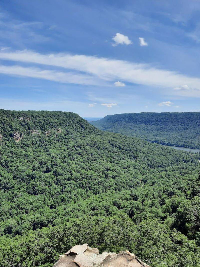 Wildlife Management Area and Natural Features
