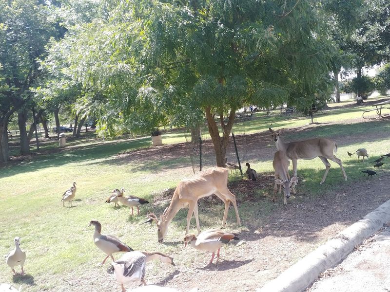 Wildlife Watching Along the Trails