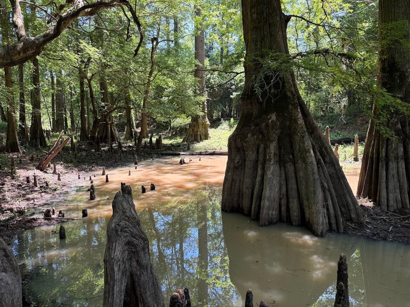 Wildlife Watching Opportunities Abound Year-Round