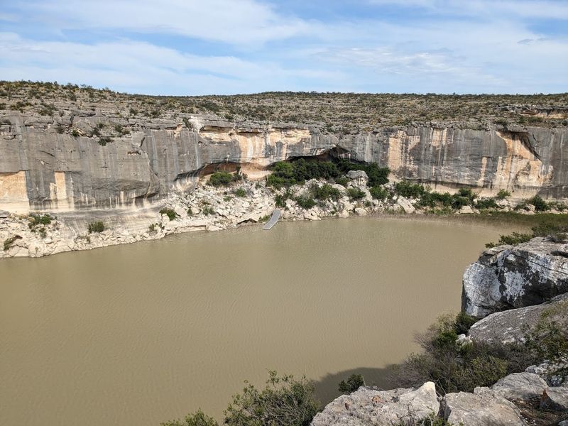 Wildlife Watching in the Chihuahuan Desert