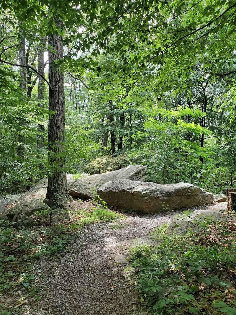 Wildlife and Quiet Details Reward Slow Visitors
