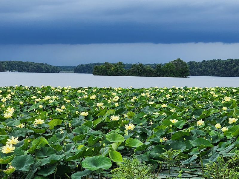 Wildlife and seasonal blooms make every visit feel different