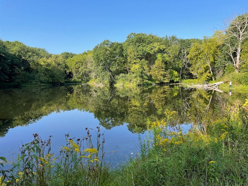 Wildlife, fishing, and dark skies add to the escape