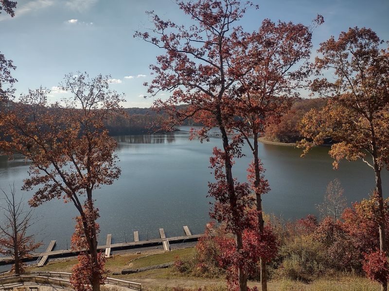 Wildlife, quiet coves, and forest views create the real magic Wildlife, quiet coves, and forest views create the real magic