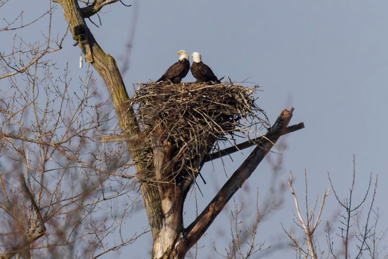 Wildlife watching here is about patience, not guarantees