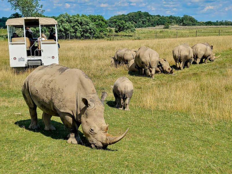Wildside Tours Bring You Even Closer
