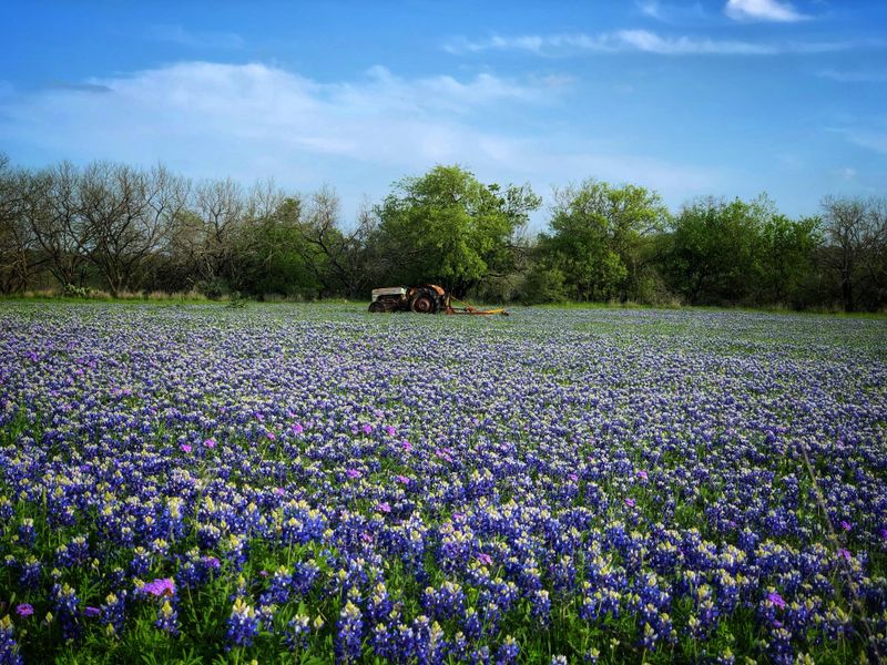 Willow City Loop (Fredericksburg)