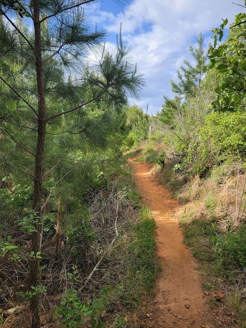 Winding Woodlands Trail (Smithville)