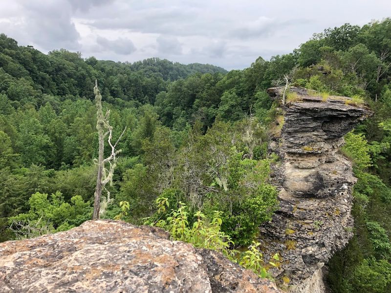 Window Cliffs State Natural Area — Baxter Window Cliffs State Natural Area — Baxter
