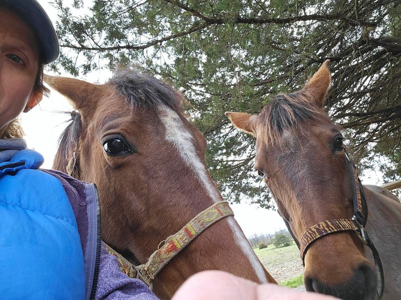 Winsome Farm Ranch Resort — Newville, Pennsylvania
