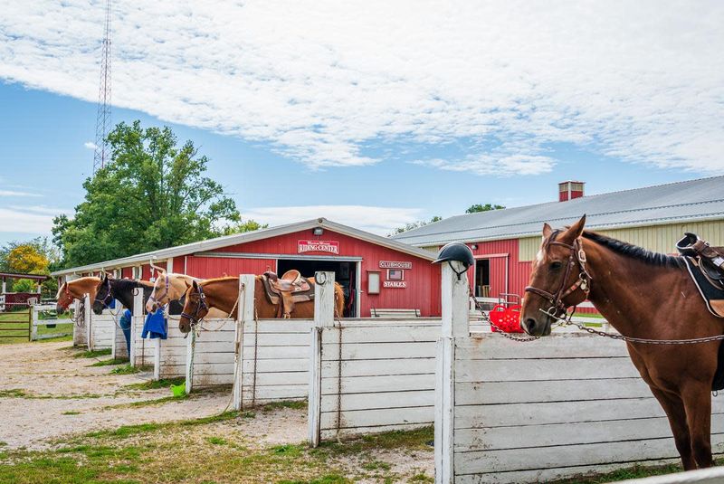 Winton Woods Farm & Equestrian Center (Cincinnati) Winton Woods Farm & Equestrian Center (Cincinnati)