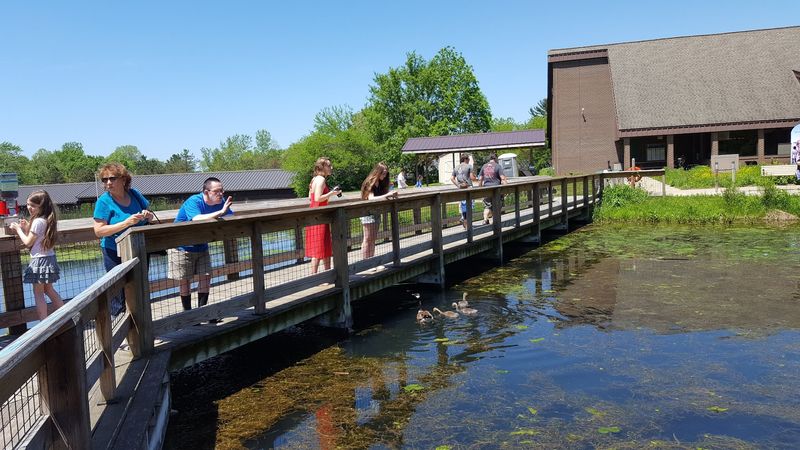 Wolf Lake State Fish Hatchery & Visitor Center