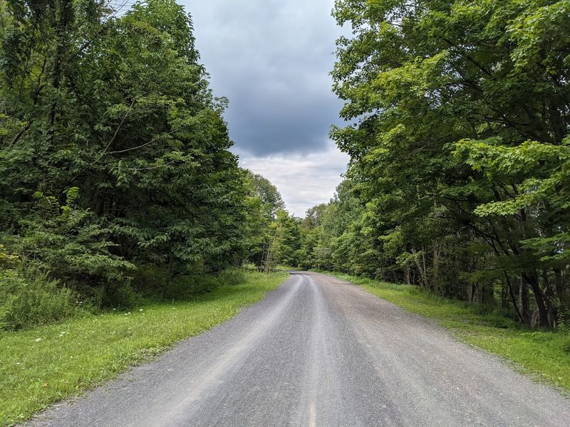 Wooded Miles That Feel Peaceful and Wild Wooded Miles That Feel Peaceful and Wild