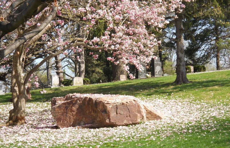 Woodland Cemetery And Arboretum, Dayton