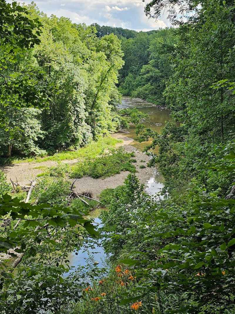 Woodland Trails And The Vermilion River Edge