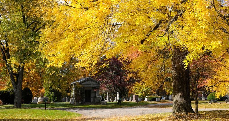 Woodlawn Cemetery And Arboretum, Toledo