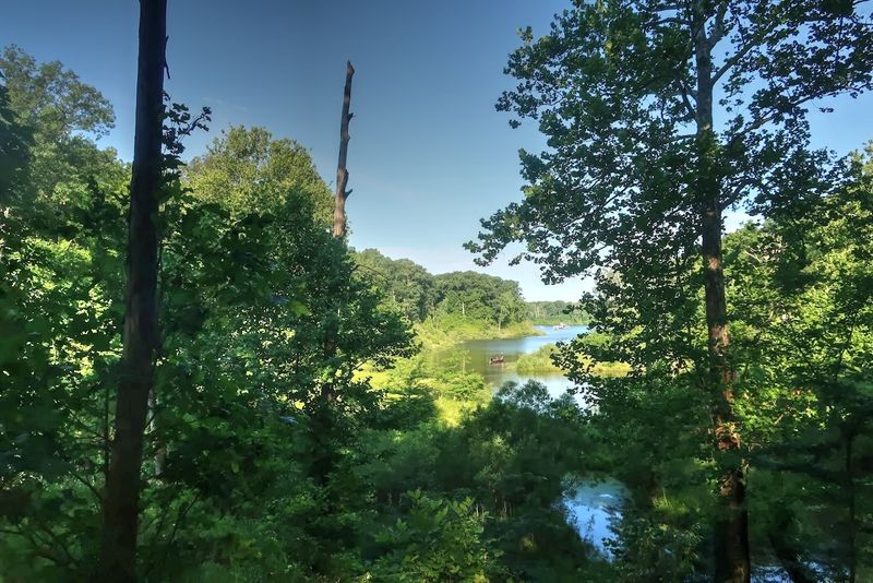 How to Time Salamonie Lake for the Best Version of It