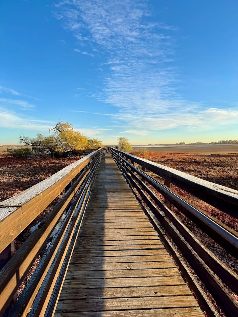The Boardwalks, Blinds, and Quiet Angles That Pay Off The Boardwalks, Blinds, and Quiet Angles That Pay Off
