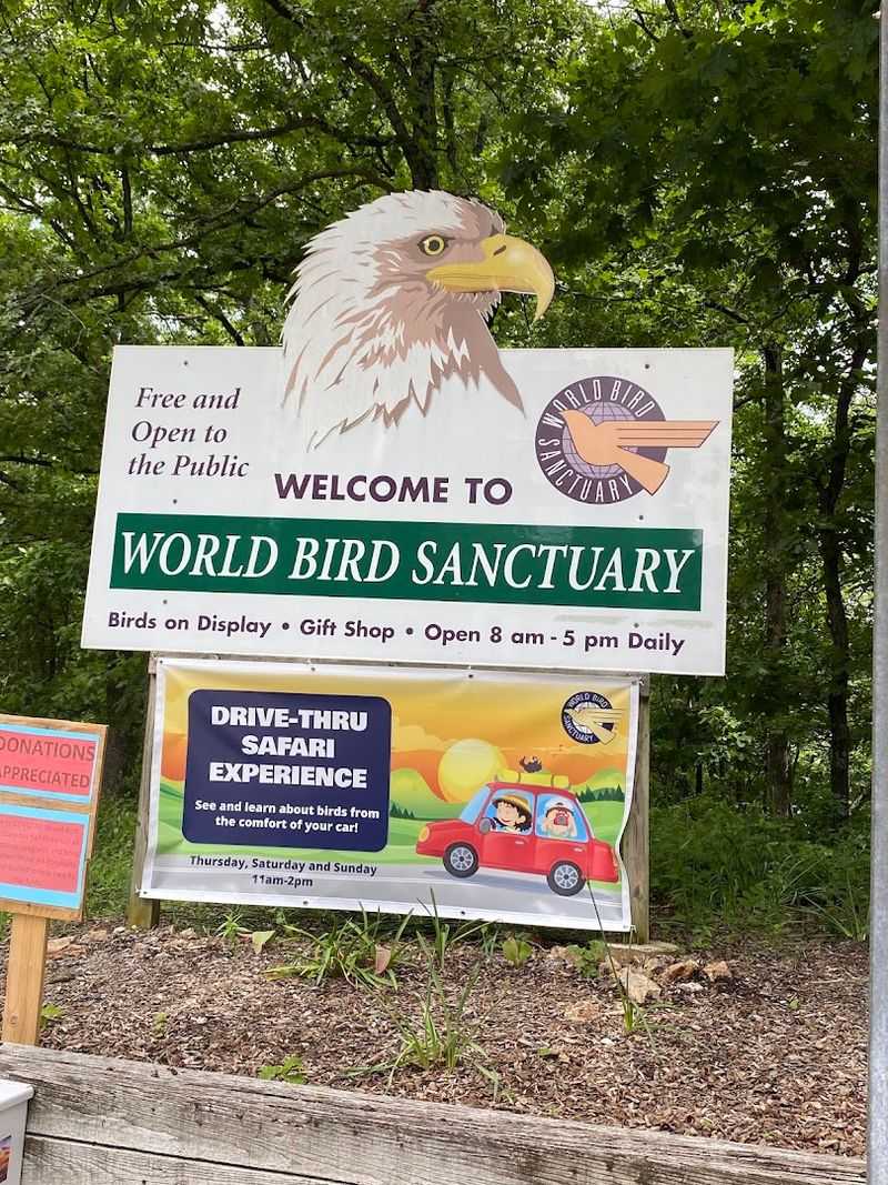 Where the Road Turns Quiet and the Raptors Take Over Where the Road Turns Quiet and the Raptors Take Over