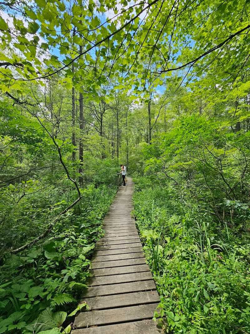 Yankee Springs Recreation Area, Middleville, Barry County Yankee Springs Recreation Area, Middleville, Barry County