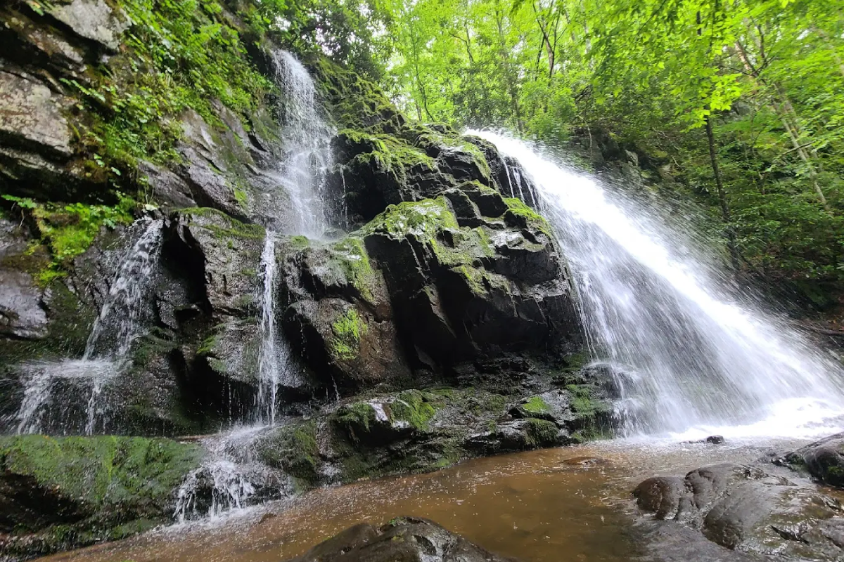 You Might Hike for Hours Without Seeing Anyone on This Tennessee Ridge Trail