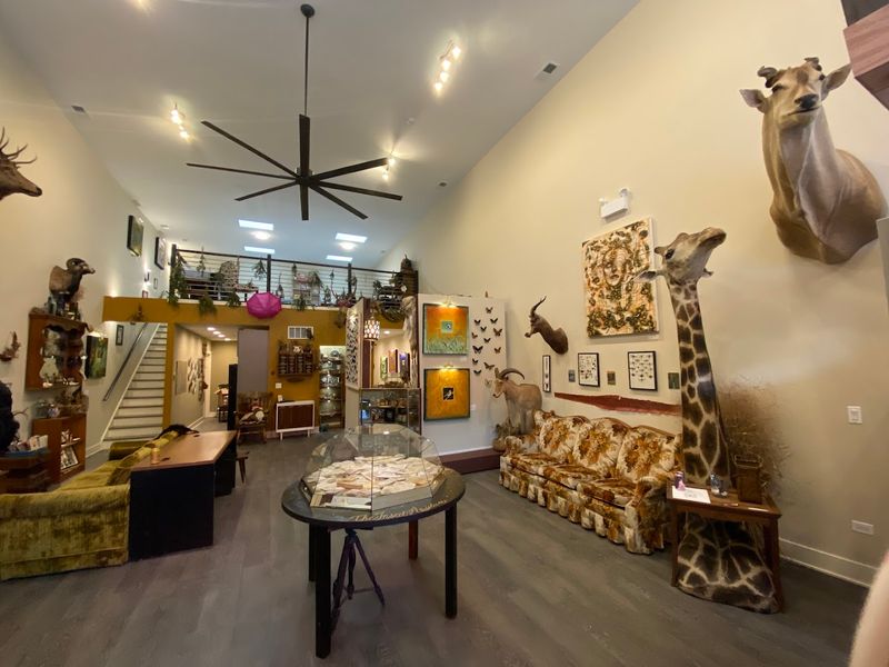 Upstairs, Downstairs, and the Live Animal Curveball