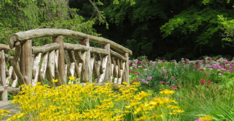 A 33-Acre Garden in New Jersey Is Hiding Ponds, Trails, Streams, and Pure Magic